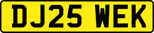 DJ25WEK