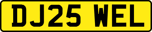 DJ25WEL