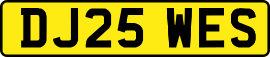 DJ25WES