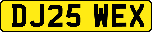 DJ25WEX