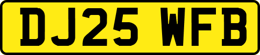 DJ25WFB