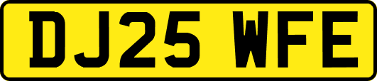 DJ25WFE