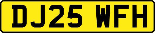 DJ25WFH