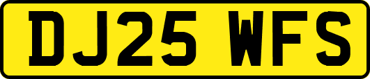 DJ25WFS