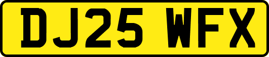DJ25WFX