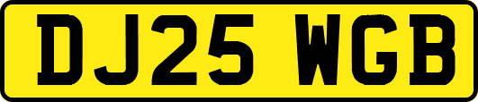 DJ25WGB