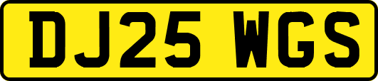 DJ25WGS