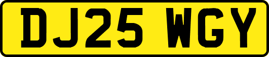 DJ25WGY