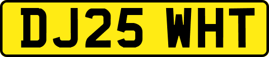 DJ25WHT