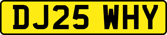 DJ25WHY