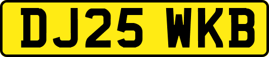 DJ25WKB