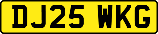 DJ25WKG