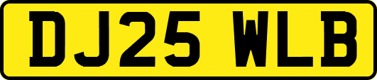 DJ25WLB