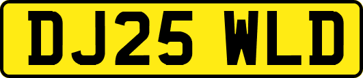 DJ25WLD