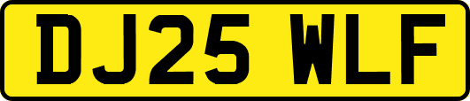 DJ25WLF