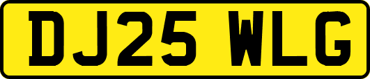 DJ25WLG