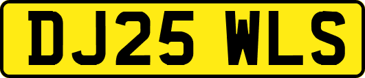 DJ25WLS