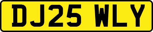 DJ25WLY