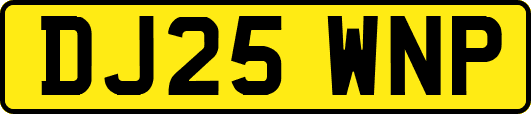 DJ25WNP