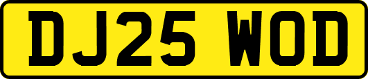 DJ25WOD