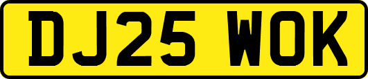 DJ25WOK