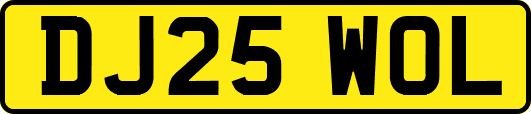 DJ25WOL