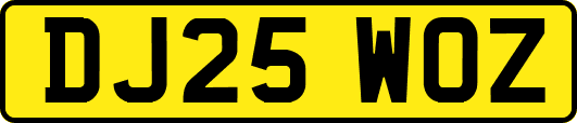 DJ25WOZ