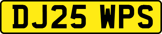 DJ25WPS