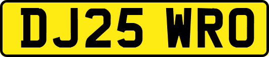 DJ25WRO