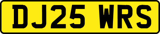 DJ25WRS