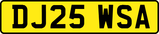 DJ25WSA