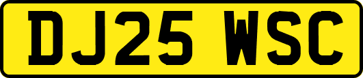 DJ25WSC