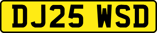 DJ25WSD