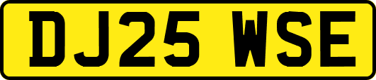 DJ25WSE