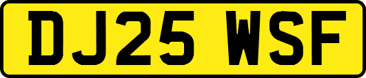 DJ25WSF