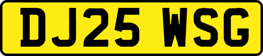 DJ25WSG