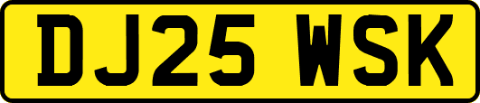 DJ25WSK