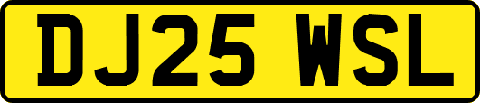 DJ25WSL