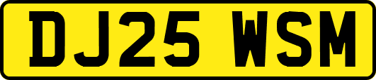 DJ25WSM