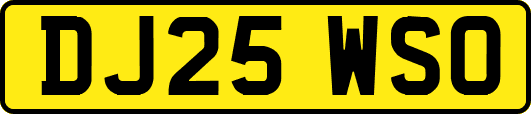 DJ25WSO