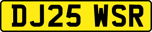 DJ25WSR