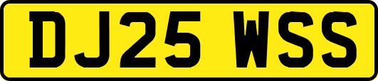 DJ25WSS