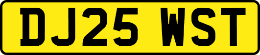 DJ25WST
