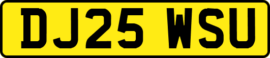 DJ25WSU