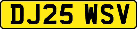 DJ25WSV