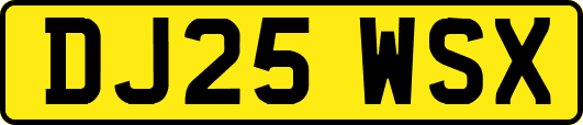 DJ25WSX