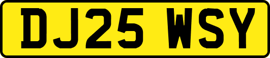 DJ25WSY