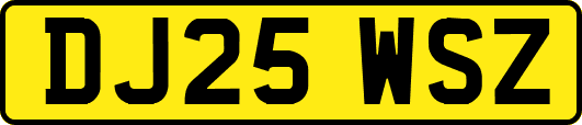 DJ25WSZ