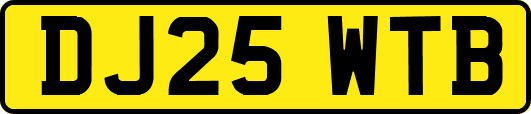 DJ25WTB