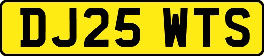 DJ25WTS